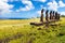 Standing moais looking at sea in Easter Island