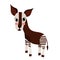 Standing Okapi animal cartoon character vector illustration
