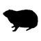 Standing Rock Hyrax Silhouette. Good To Use For Element Print Book, Animal Book and Animal Content