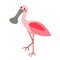 Standing Roseate Spoonbill bird animal cartoon character vector illustration