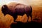 Standing side view bison oil painting with canvas