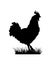 standing silhuette design vector rooster isolated