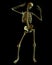 Standing Skeleton with Spooky Green lighting