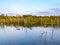 Standing snags in Bang Pra reservoir