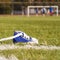 Standing sports shoe on the football field.