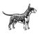 Standing spotted bullterrier, fighting dog, home pet, for logo or emblem, engraving