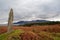 Standing stone and field