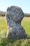 Standing Stone - Merry Maidens Circle, Lamorna.