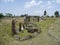 Standing stones