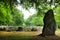 Standing Stones Around Clava Cairns