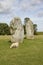Standing stones, Avebury Ring