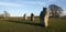 Standing stones at the Avebury Stone Circle