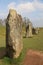Standing Stones - Avebury, Wiltshire, UK