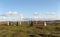 Standing Stones Callanish III