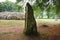 Standing Stones at Clava Cairns