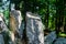 Standing Stones in a Forest