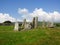 Standing Stones at the Lower of the two Prehistoric Sites at Cairnholy Cairns, Dumfries and Galloway, Scotland, Great Britain