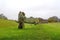 Standing stones of a neolithic henge