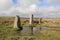 Standing Stones With Reflection - Boskednan, Cornwall, UK
