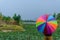 Standing umbrella, looking at the lotus pond