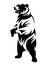 Standing up grizzly bear black vector outline