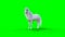 Standing white horse. Green screen. 3d rendering.