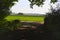 Standing in a Wood and Looking at Agriculture Fields, Bushes and Forest Tree Silhouettes at a Sunny Summer Evening, Germany, Europ