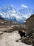 Standing yak, stone barn, snow mountains in himalayas