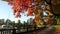 Stanley Park, Autumn Seawall, Vancouver