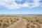 Stanley Tasmania ocean lookout over Bass Strait