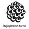 Staphylococcus aureus icon, simple style.