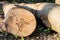 Staples used for wood logs. Accessories for securing wood in the