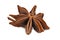 Star Anise