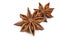 Star Anise