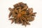 Star Anise or Aniseed Spice