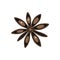 Star anise or badian on a white background. Vector flat illustratio
