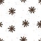 Star anise or badian on a white background. Vector seamless pattern