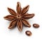 Star anise, badiane isolated