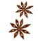 Star anise, Bodyan plant, Pimpinella anisum, Aromatic seasoning for different dishes and drinks, Seasoning for mulled