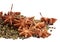 Star anise, Chinese red pepper or Szechuan pepper