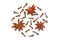 Star anise and cloves scattered isolated.