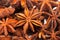 Star anise or Illicium verum