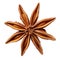 Star anise natural and herbal fruit food spice ingredient