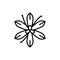 Star anise plant black line icon. Seasoning vector illustration. Isolated contour of orthopedics diseases on white