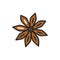 Star anise plant color line icon. Vector illustration