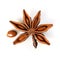 Star anise. Single star anise fruit with one seed. Macro close up Isolated on white square background with shadow, top view of