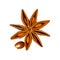 Star anise. Single star anise fruit with one seed. Macro close up  on white square background with shadow, top