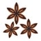 Star anise spice icon isolated