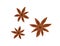 Star anise spices. Aromatic Indian seasoning, condiment. Dry badian, brown flavored ingredient. Flat vector illustration