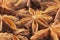 Star anises dried spice fruits